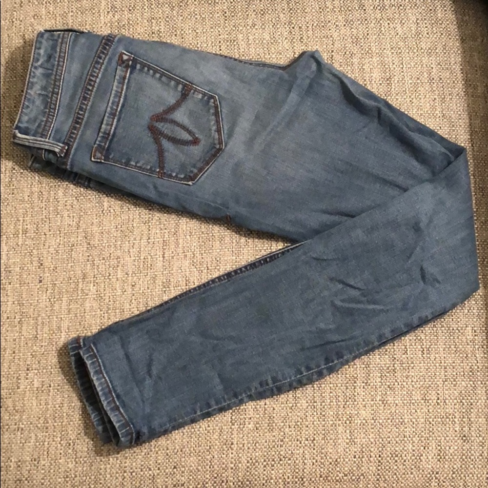 Level 99 Tanya High Rise Skinny Jean (size 28)